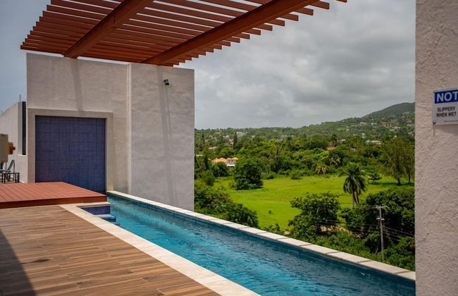 Dream 36 Montego Bay - Photo 9