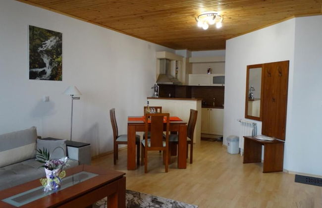 Pamporovo Rhodopi Pearl Apartments - Photo 13