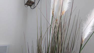 Island House - Foto 2