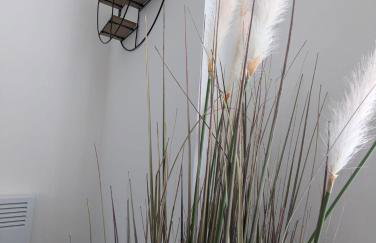 Island House - Foto 2