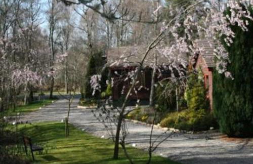 Tullochwood Lodges - Foto 33