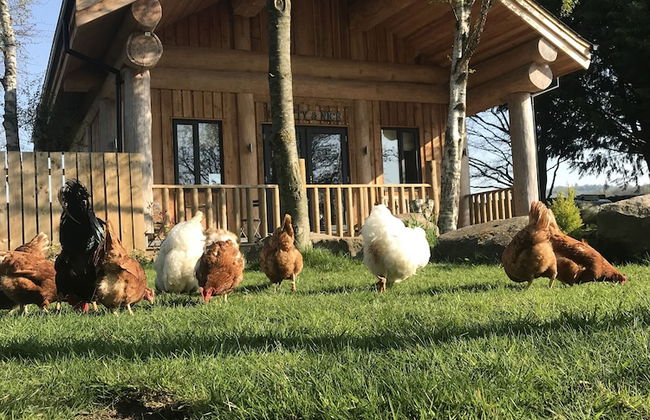 Braisty Woods - Knotty & Nice - Foto 18