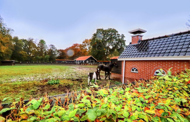 Apartment in Kornhorn Near Curringherveld - Photo 36