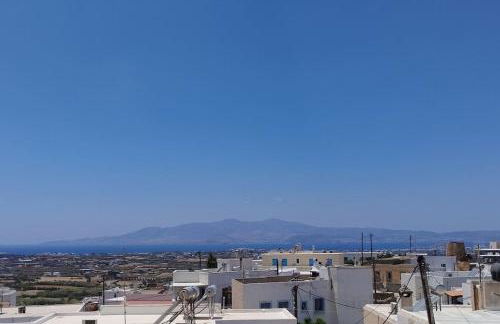 Naxian Purity - Foto 15