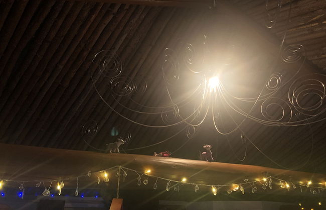 Treehouse Magpies Nest With Bubble Pool - Foto 15