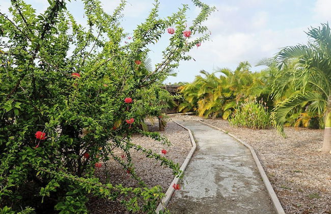 Nakolodge 2 chambres - piscine / jardin privatifs - Foto 46