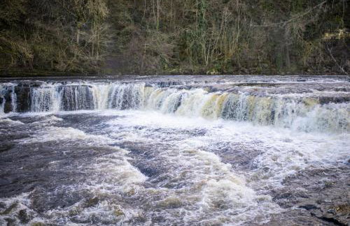 Burn Cottage - Photo 32