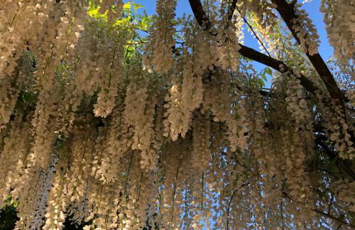 Agriturismo San Giusto - Foto 26