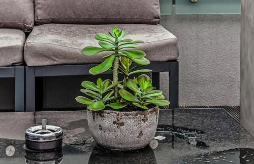 Contemporary Fulham Penthouse with Large Balcony - Pass the Keys - Foto 31