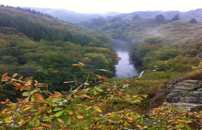 Holiday Home in La Roche With Sauna & Nature - Photo 32