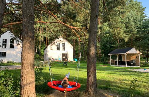 Masz Ci Las - Foto 22