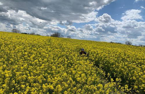 Ferienhaus Ostseeblick Kraksdorf-Strand fast direkt am Ostseestrand - Foto 18