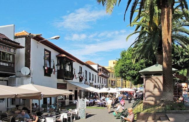 Camino La Candelaria - Photo 15