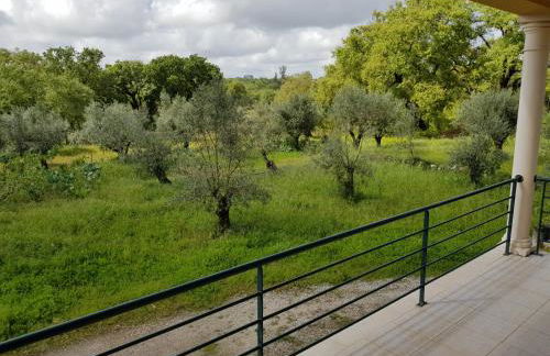 Casa da Floresta - Foto 28