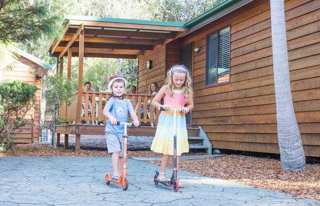 The Palms At Avoca - Photo 43