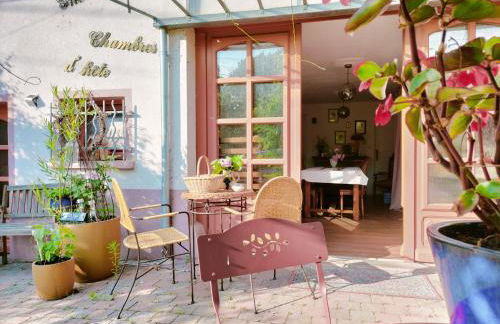 Les capucines la souris des champs - Foto 17