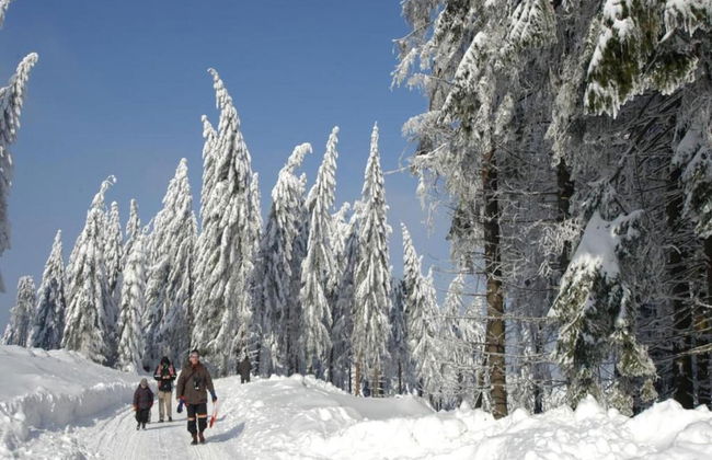 Sunny Terrace & Quiet Stay - Foto 32