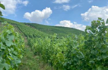 Ferienwohnung Zur Alten Schmiede - Foto 25