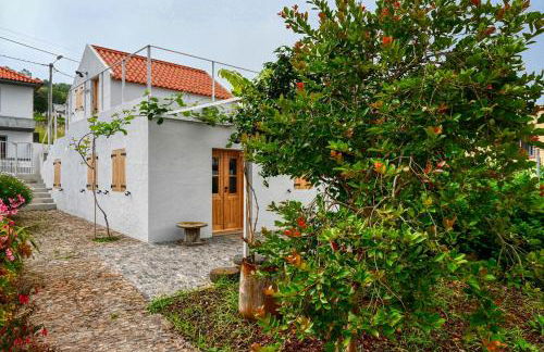 O Lagar do Avô, a Home in Madeira - Foto 74