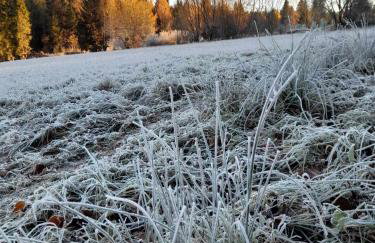 Chatka pod Lubaniem - Photo 34