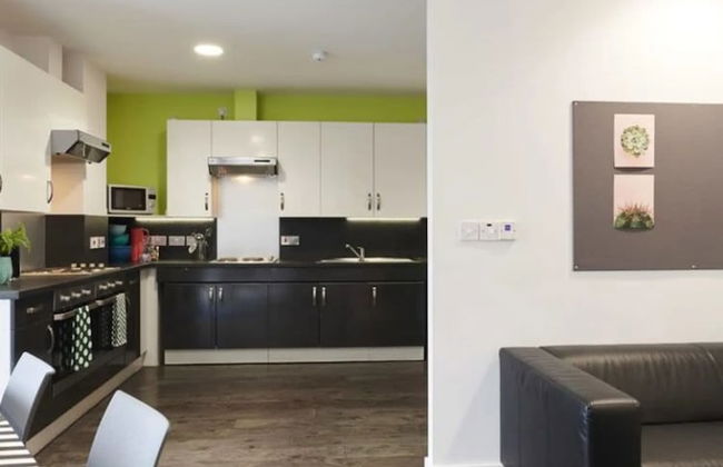 Binary Hub - Foto 14