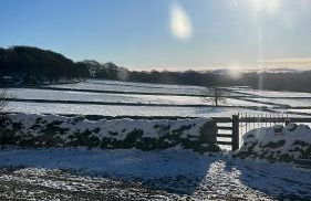 The Vogue Lodge - Photo 28