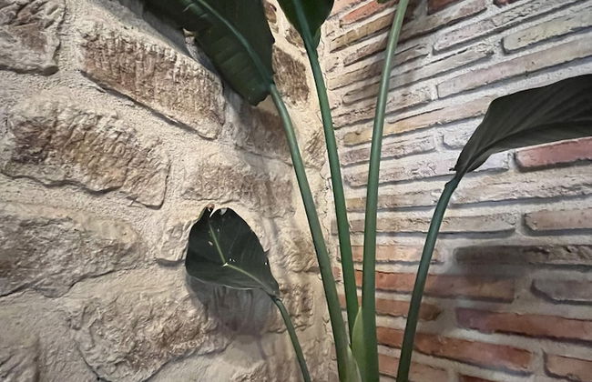 Agroturismo El Encuentro - Foto 19