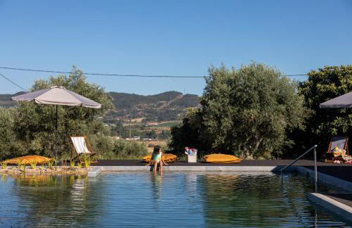 Quinta da Sra Marocas - Foto 30