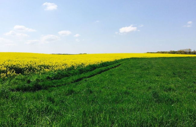 2 on the Estate - Mosch - Foto 10