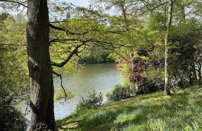 Artists' Cottages - Foto 47