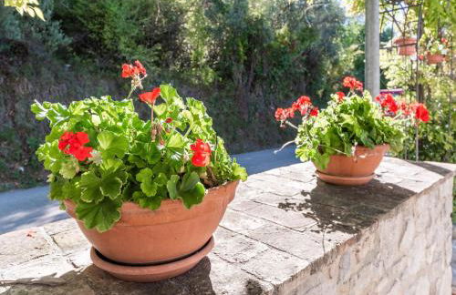 Cottage in Bomba near Lake Bomba - Foto 35