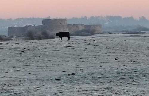 The Gazebo - Winchelsea Town - Foto 25