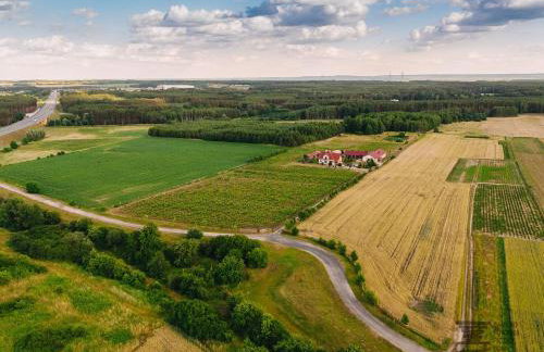 Winnica Mozów - Foto 12