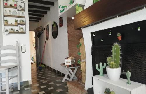 CAN CACTUS GARRIGUELLA - Foto 13