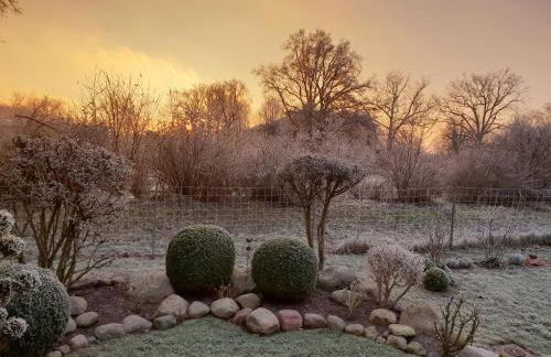 Ferienhaus Blomengoorn - Foto 41