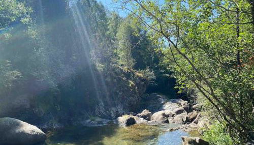 Apartamento familiar en Benasque - Photo 3