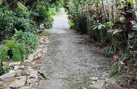 Tiny House Armação - Photo 25