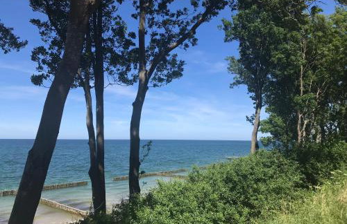 Domki Podniebo - Foto 71