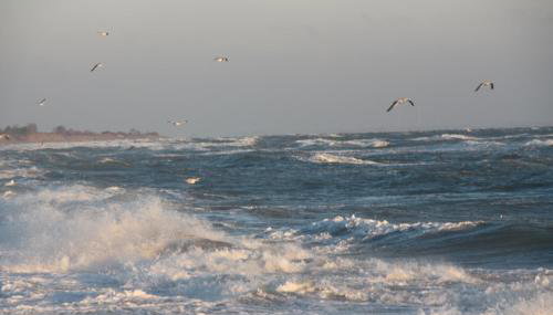 Land & Meer - Foto 2