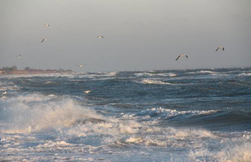 Land & Meer - Foto 2