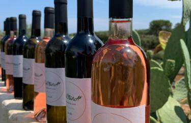 PaolOttaviA - Foto 44