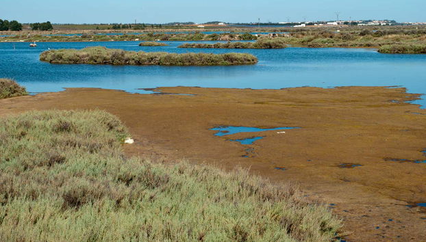 Tour in Isla Cristina - Foto 3