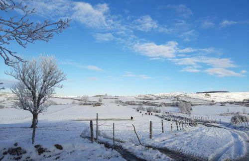 Cantal maison individuelle - Photo 32