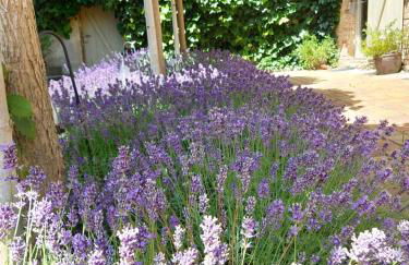 Villa Veda - Foto 11