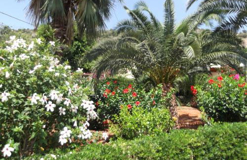 Mariamare apts - Foto 33