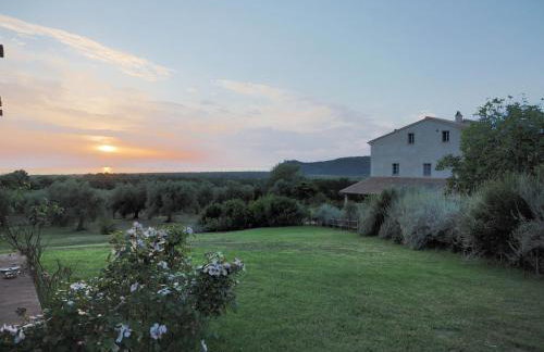 Podere San Niccola - Foto 10