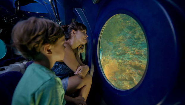 Enjoying the family experience