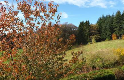 Ferienwohnung Schwalbennest - Foto 68