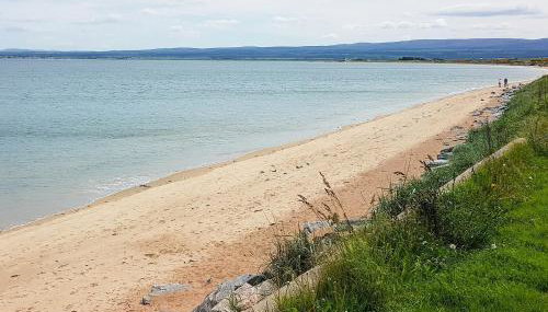 The Dolphin - Uk31004 - Foto 5