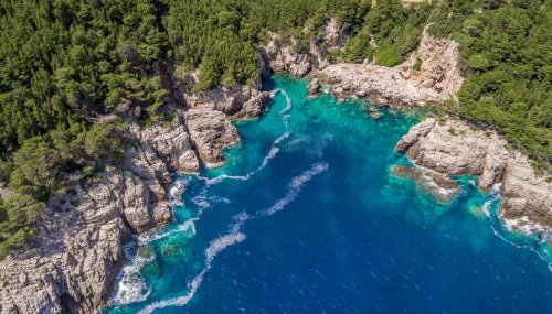 Apartmani Popović - Foto 5